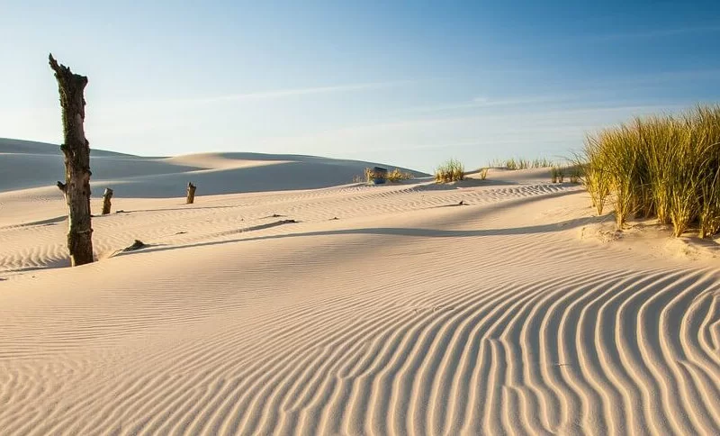 Ruchome wydmy w okolicach Łeby